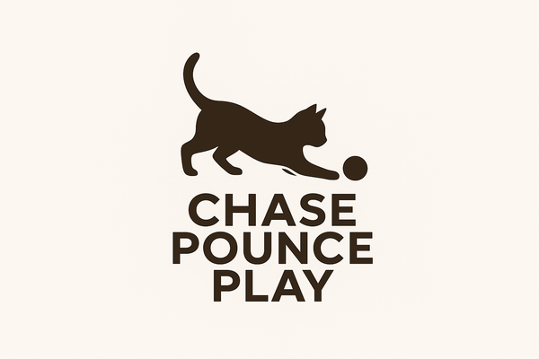ChasePouncePlay